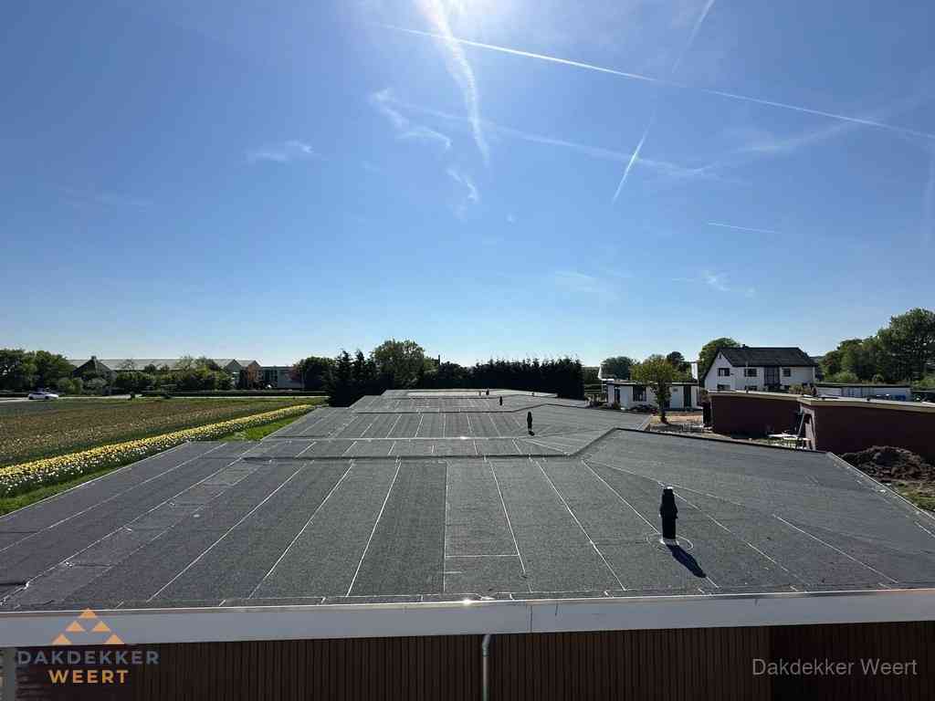 Groot plat dak met bitumen dakbedekking op bedrijfspand in Weert