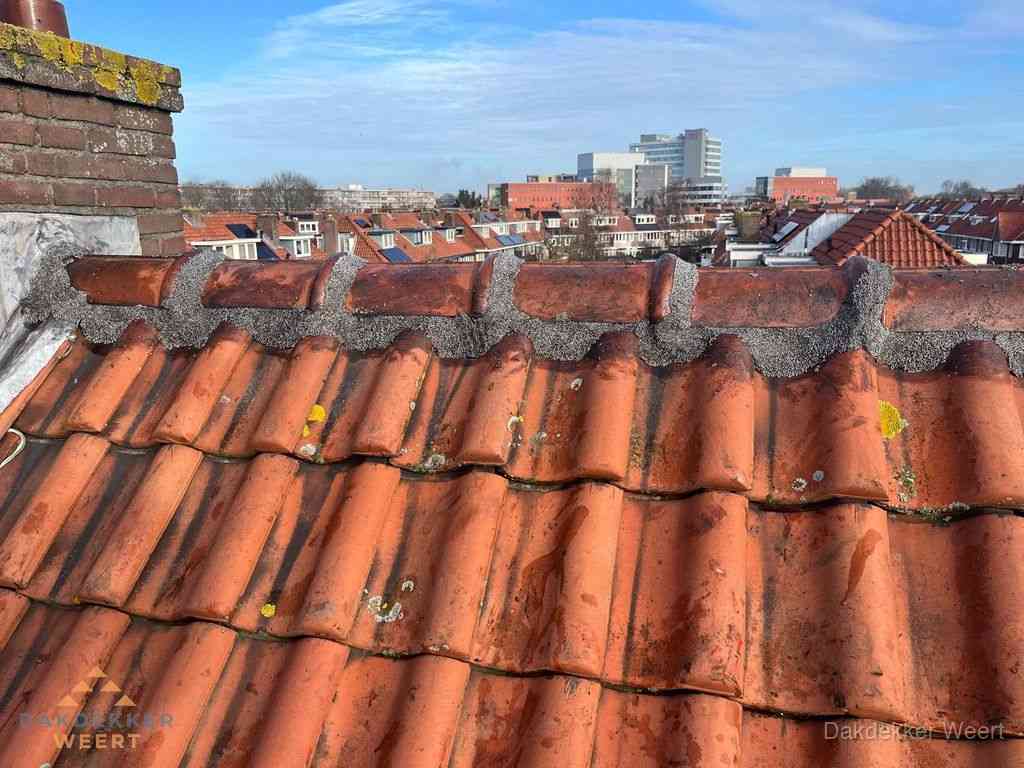 Nieuw bitumen plat dak met uitzicht over woonwijk in Weert