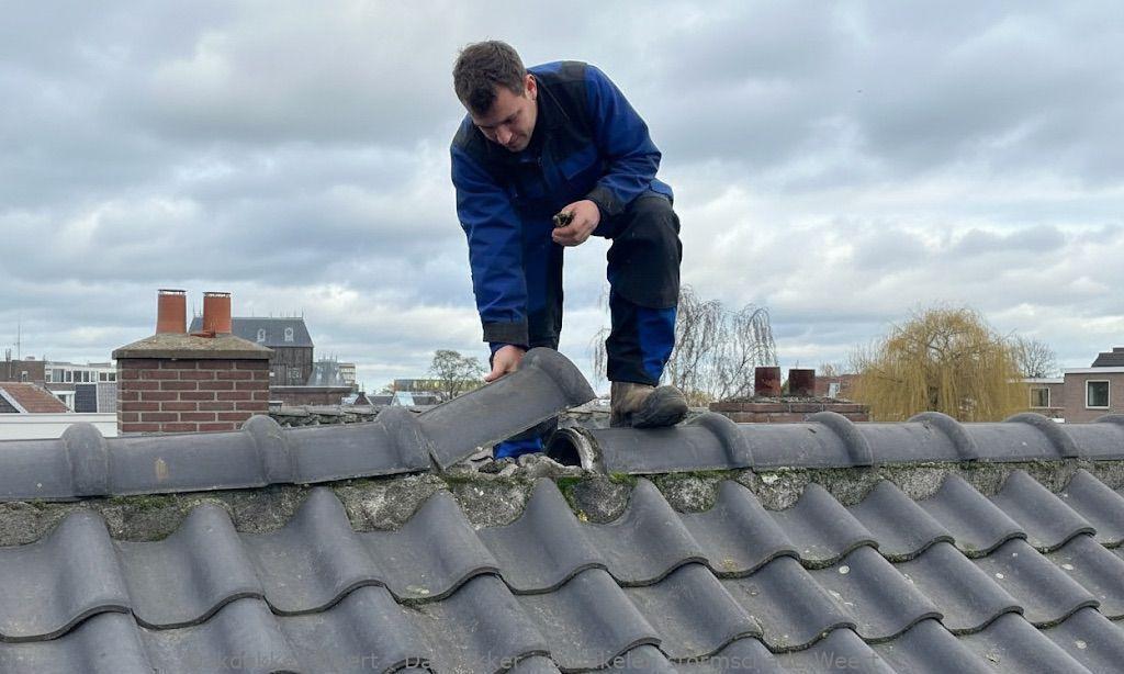 Dakdekker Inschakelen Stormschade Weert
