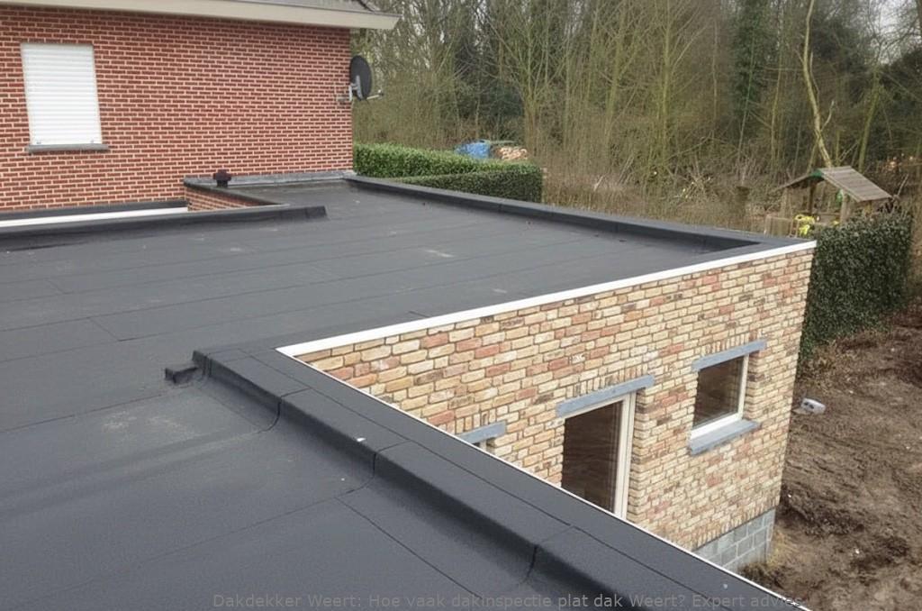 Dakinspectie Plat Dak Weert 1
