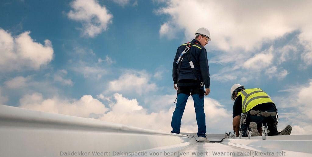 Dakinspectie Voor Bedrijven Weert