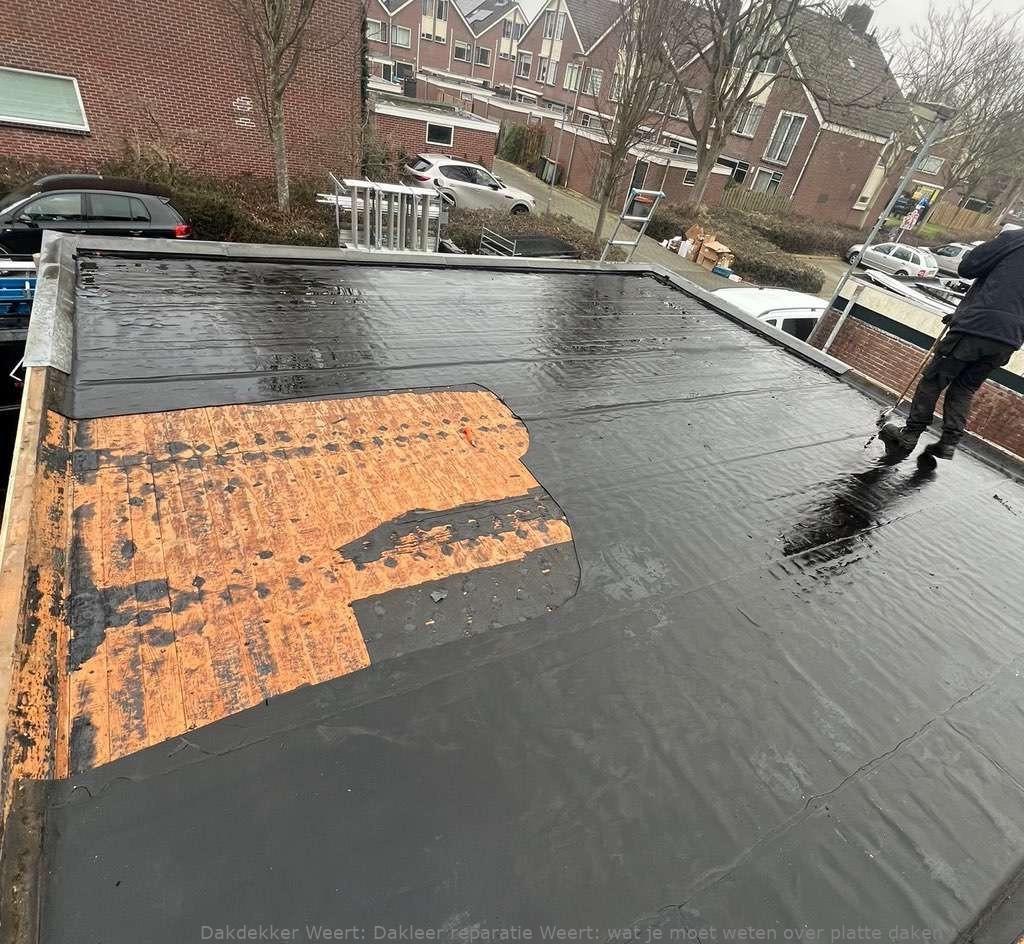 Dakleer Reparatie Weert