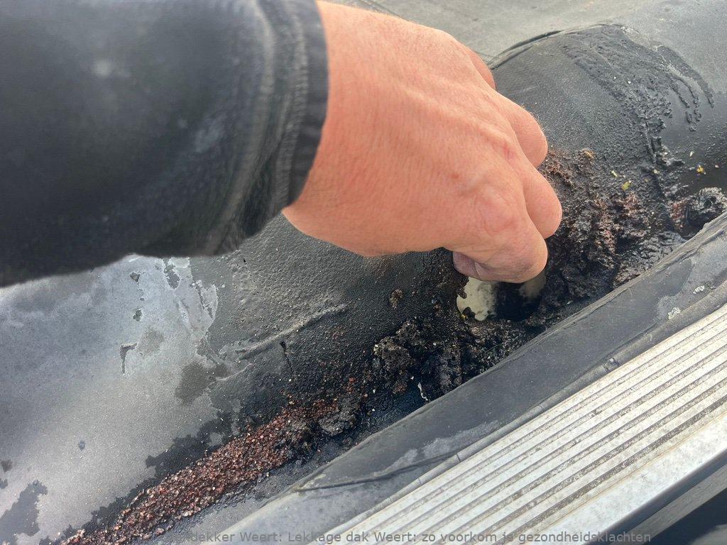 Lekkage Plat Dak Weert 1
