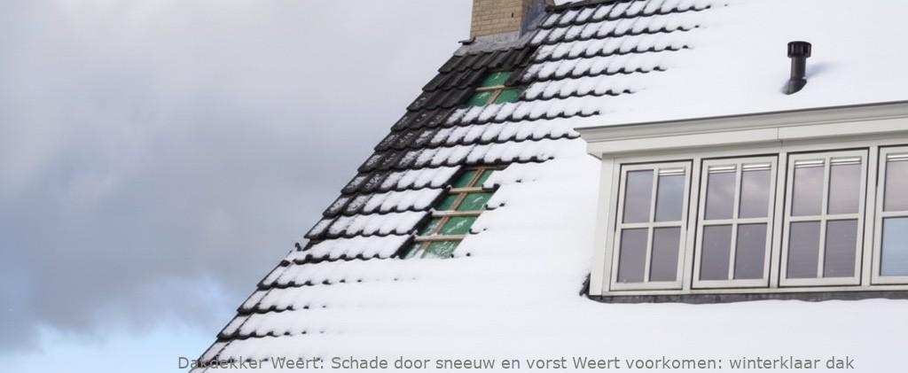 Schade Door Sneeuw En Vorst Weert